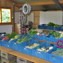 Boerderijwinkel